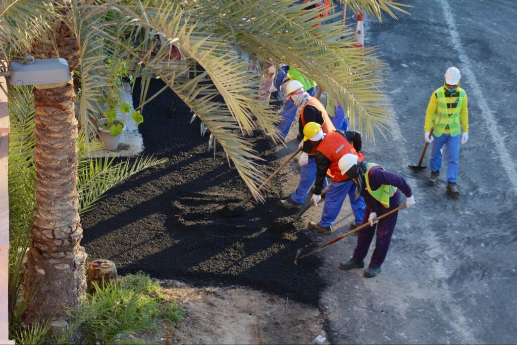 Construction workers paving asphalt next to a palm tree.